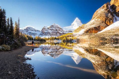 Image result for Examples of Projects in Machine Learning