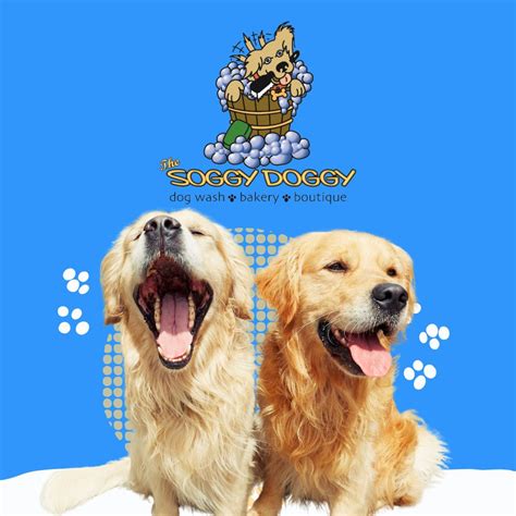 The Soggy Doggy * Dog Wash *Bakery *Botique on LinkedIn: Whether it's a ...
