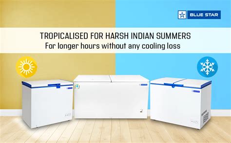 Blue Star CF3-125DSW Single Door DeepFreezer (106 Ltrs, White) : Amazon ...