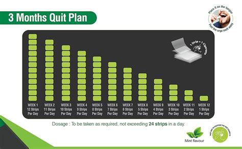 Nicomeltz Instamelt Nicotine Release Strips, Mint Flavored, Sugar Free ...