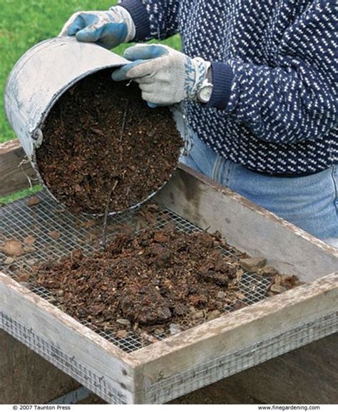 गमले में पौधा लगाते वक्त मिट्टी में कितना मिलाएं खाद? जानिए - How much ...