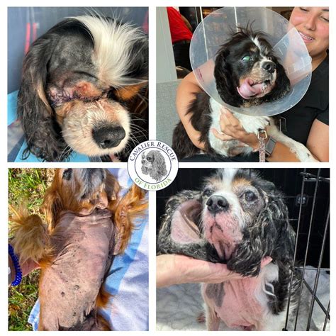 CRF Emergency Medical Fund