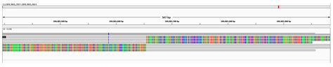 A Complex Intrachromosomal Rearrangement Disrupting IRF6 in a Family ...