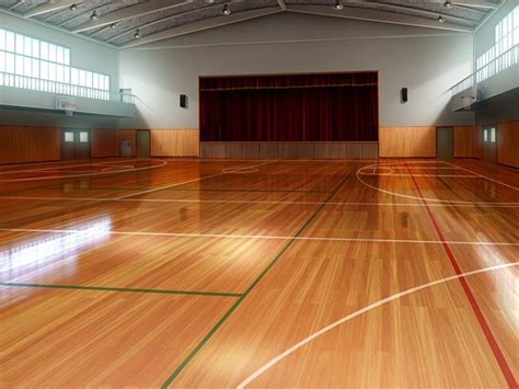 体育馆 的图像结果