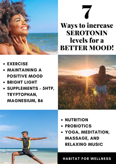 How to increase Serotonin - What causes a Serotonin Deficiency - and Its Role in Mental Health ...