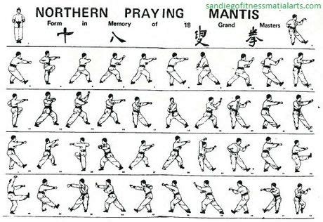 Basic Kung Fu Techniques 的图像结果