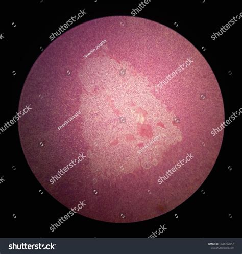 Image result for IOException Example Java