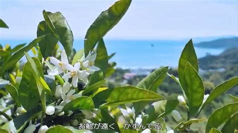 Image result for Algorithm Examples in C Language