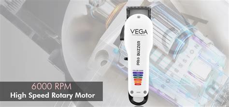 What are BLDC Motors, Rotary Motors and Vector Motors?