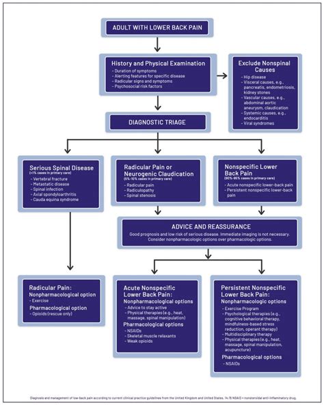 Image result for Lower Back Pain Chart