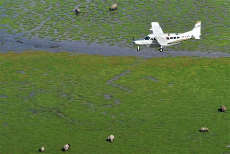 The Flying Life - Execufly Africa