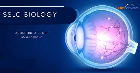 SSLC Biology - Lesson 2 - Windows of Knoledge - Eye Dissection