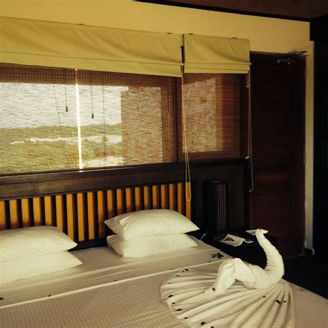 YALA SAFARI GAME LODGE (Yala National Park) - Hotel Reviews & Photos ...