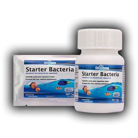 Starter Bacteria | Reocean