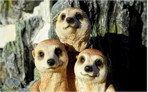 Animals Flex Poster For Room Mo-5450 Photographic Paper - Animals ...