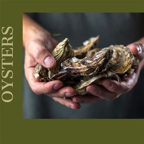 WHY YOU SHOULD TRY NEW TYPES OF OYSTERS, ESPECIALLY OUR EFFINGHAM OYST ...