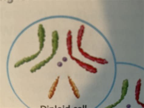 Rezultat imagine pentru Freshman Biology Module