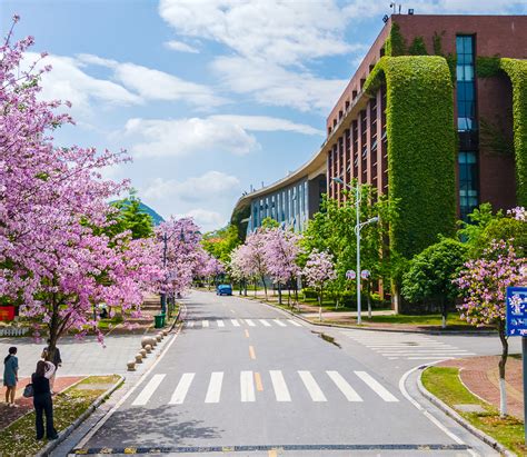 桂林医学院创新创业教育学院