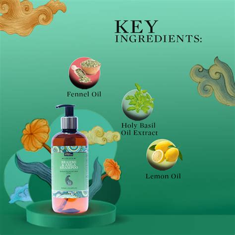 Buy Best Ayurveda Hair Cleanser Products Online – Bipha Ayurveda