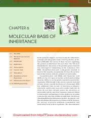 Image result for Molecular Basis of Inheritance Class 12 PDF