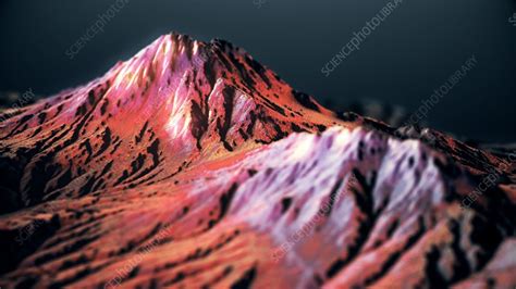 Fitness Landscape 的图像结果