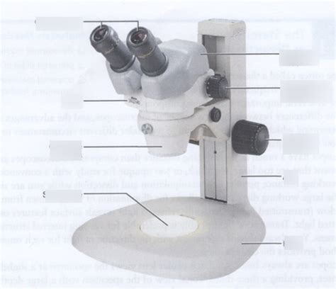 Image result for Objects Under the Dissecting Microscope