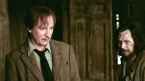 Every Order of the Phoenix Member the Harry Potter Movies Ignored