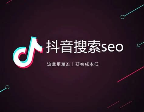 抖音seo关键词排名_短视频SEO优化_效果好低成本引流