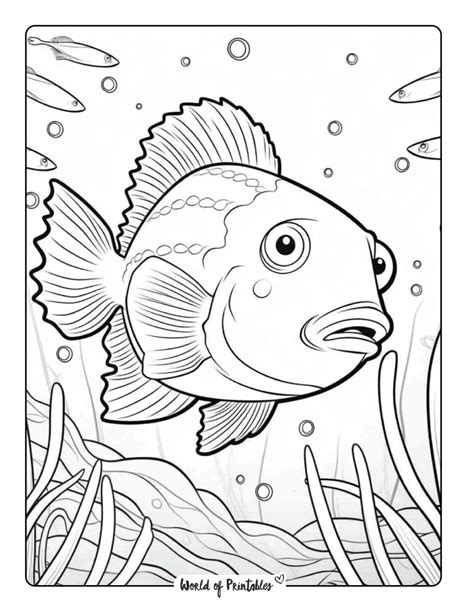 Fish Coloring Pages - World of Printables