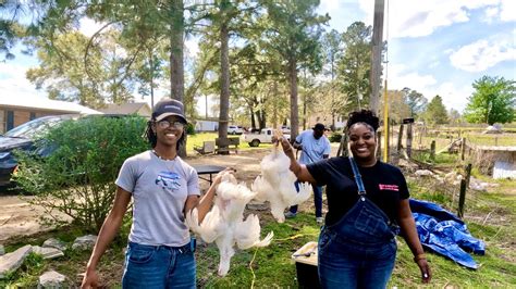 Hunting Catch Clean and Cook 的图像结果