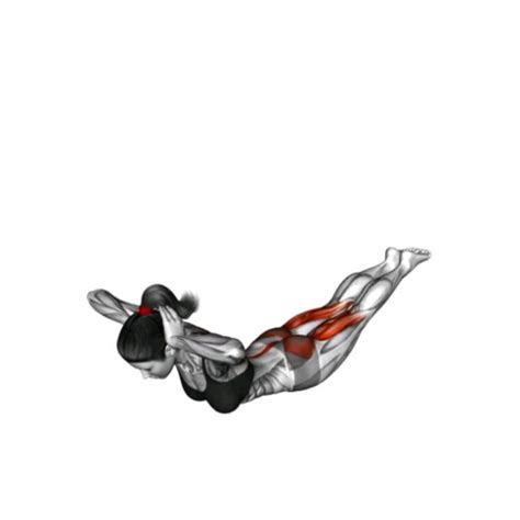 Tutorial Back Extension 的图像结果