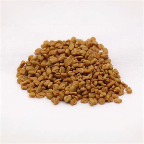 Fenugreek Seed | Pacific Botanicals