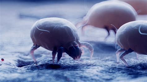 The 5 most common seasonal allergies