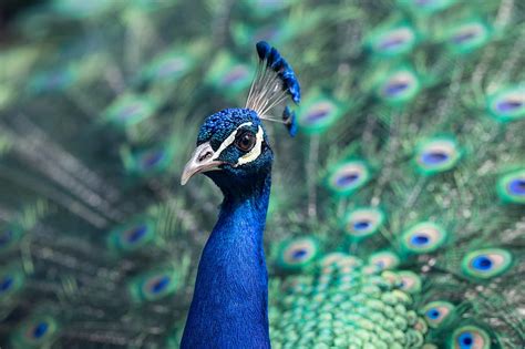 Image result for Machine Learning Boosting Methods