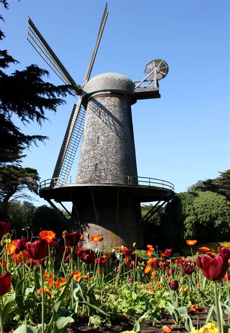 Queen Wilhelmina Tulip Garden