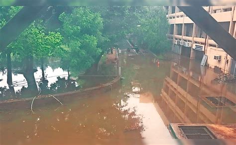 डेढ़ घंटे की बारिश ने 15 साल की मेहनत पर फेर दिया पानी, दिल्ली IIT को ...