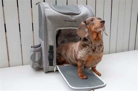 Dog carry pack sales