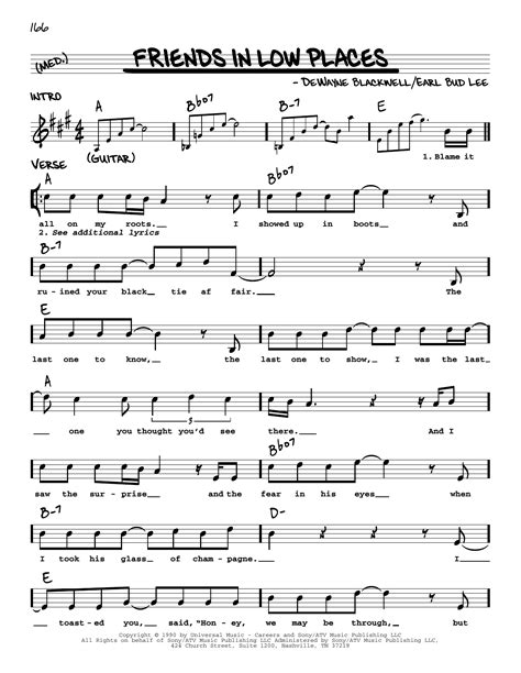 Friends In Low Places by Garth Brooks Sheet Music for Real Book ...