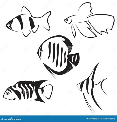 Aquarium Fish. Line Drawing. Stock Vector - Illustration of fish ...