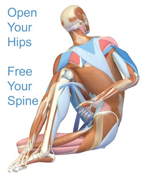 Image result for Self Hip Alignment