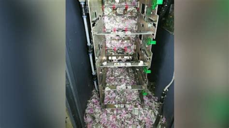 Viral Test: Micetery solved as rats destroy currency worth Rs 12 lakh ...