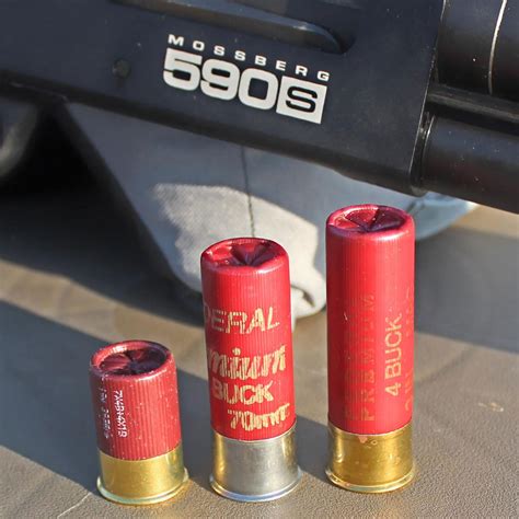 Image result for Mini Shell