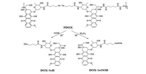 Design of pH/Redox Co-Triggered Degradable Diselenide-Containing ...