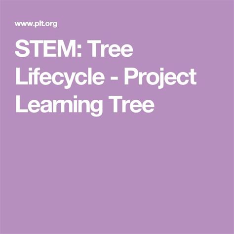 Image result for Project Learning Tree Activities