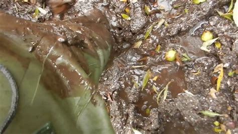 Image result for Waders in Mud Compilation