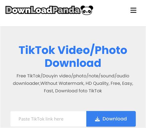 2023 Best way to download TikTok video / photo online free - DLPanda.com
