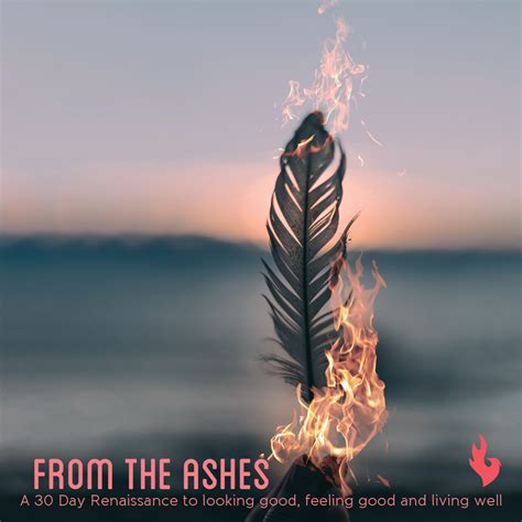 Phoenix Rising from the Ashes | The Career Butterfly