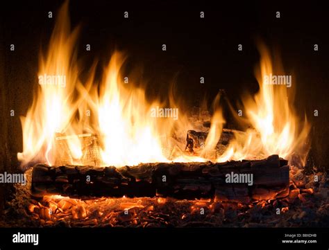 Image result for Fire Log Show