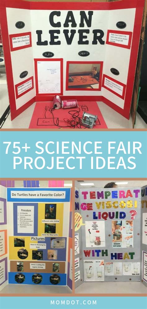 100 Easy Science Fair Projects 的图像结果