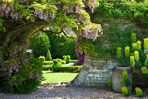 How to create a classic English country cottage garden: What to plant ...